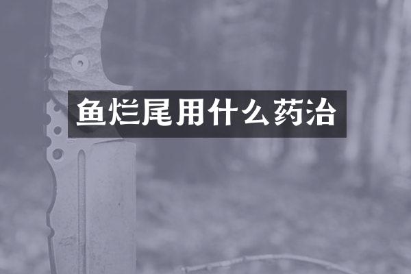 鱼烂尾用什么药治