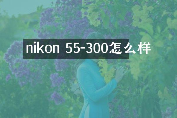 nikon 55-300怎么样