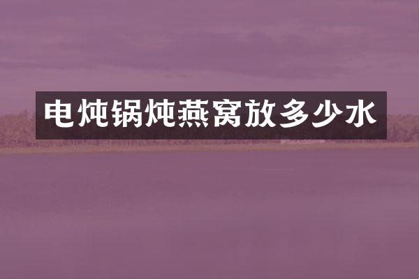 电炖锅炖燕窝放多少水