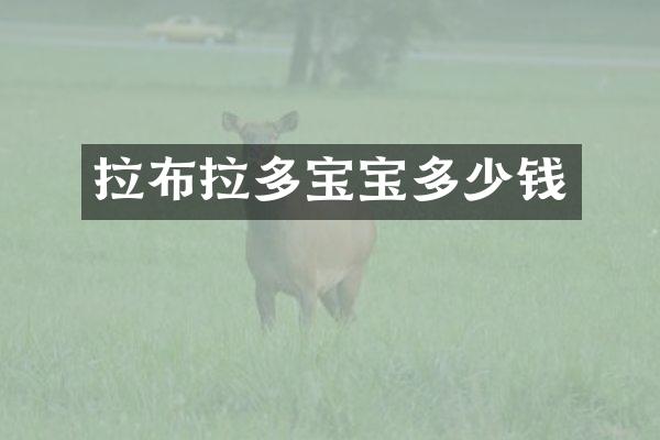 拉布拉多宝宝多少钱