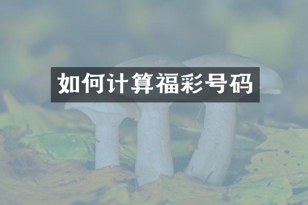 如何计算号码