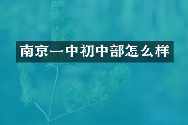 南京一中初中部怎么样