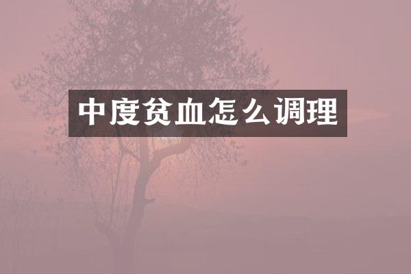 中度贫血怎么调理