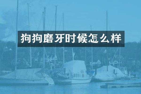 狗狗磨牙时候怎么样