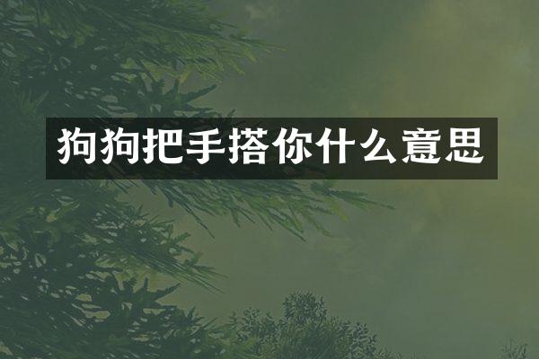 狗狗把手搭你什么意思