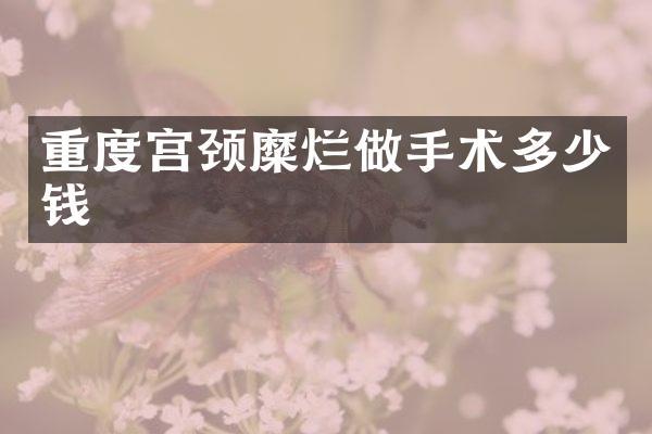 重度宫颈糜烂做手术多少钱