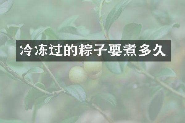 冷冻过的粽子要煮多久