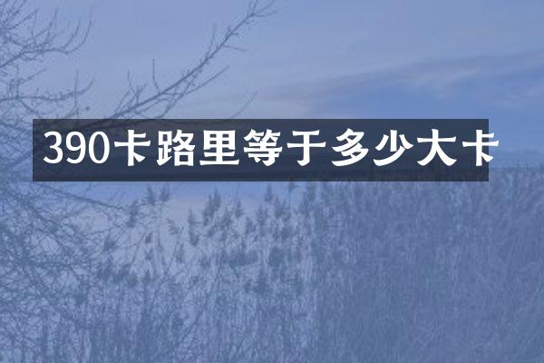 390卡路里等于多少大卡