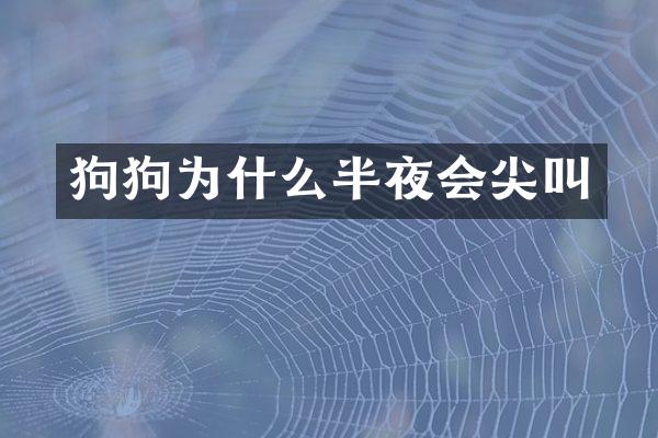 狗狗为什么半夜会尖叫