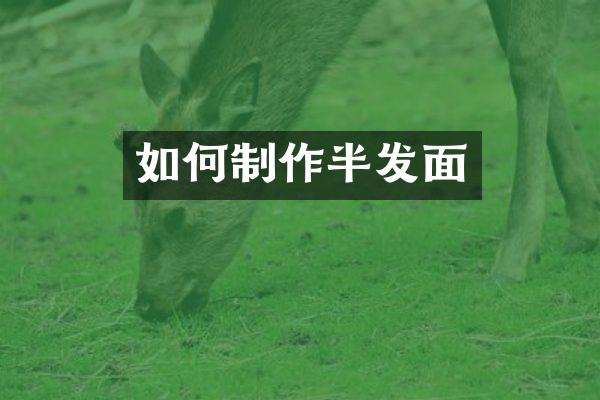 如何制作半发面