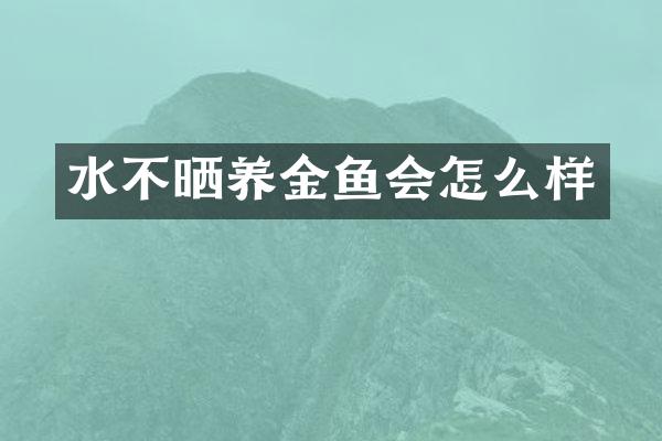 水不晒养金鱼会怎么样