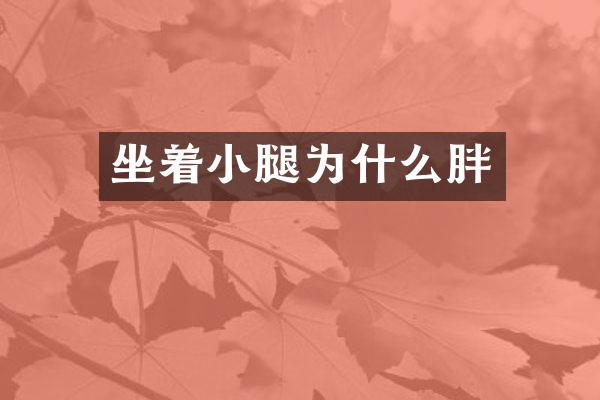 坐着小腿为什么胖