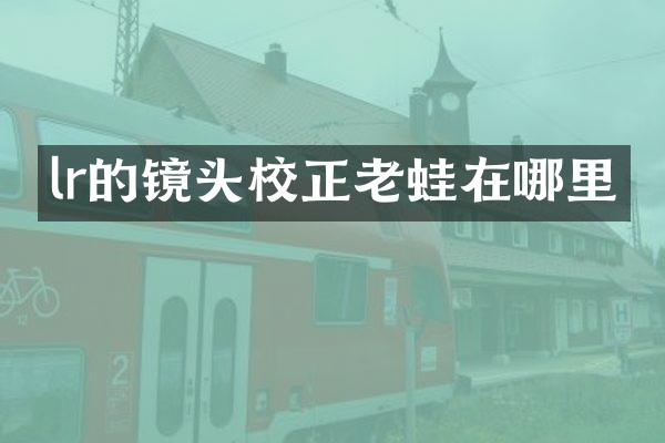 lr的镜头校正老蛙在哪里