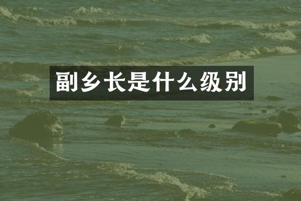 副乡长是什么级别