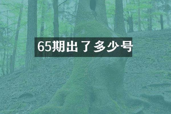 65期出了多少号