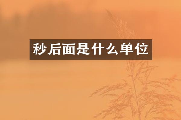 秒后面是什么单位