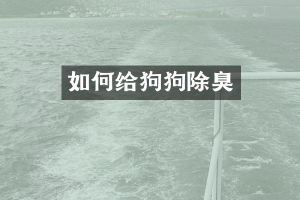 如何给狗狗除臭