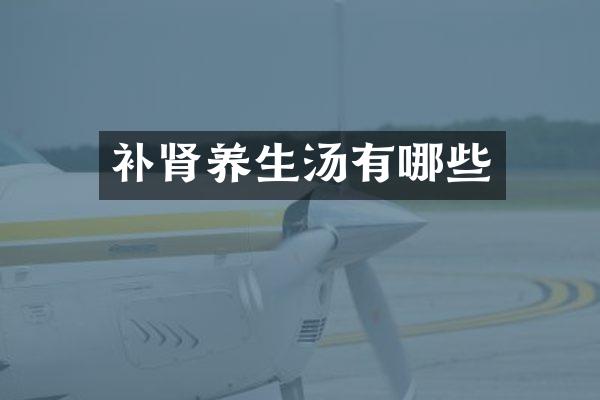 补肾养生汤有哪些