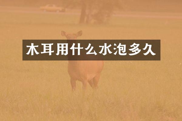 木耳用什么水泡多久