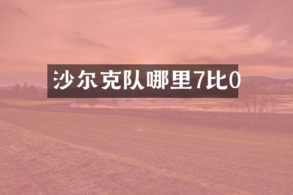 沙尔克队哪里7比0