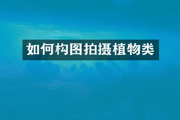 如何构图拍摄植物类