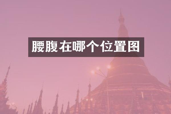 腰腹在哪个位置图