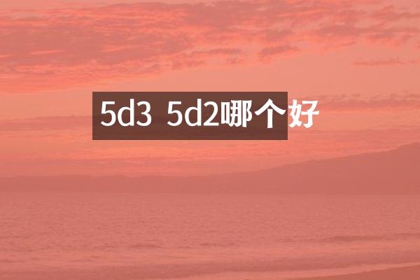 5d3 5d2哪个好