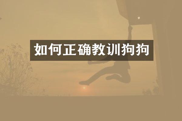 如何正确教训狗狗