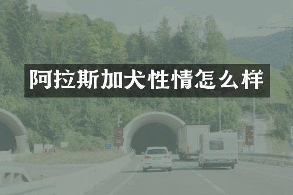 阿拉斯加犬性情怎么样
