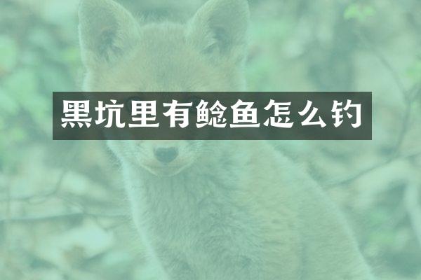 黑坑里有鲶鱼怎么钓