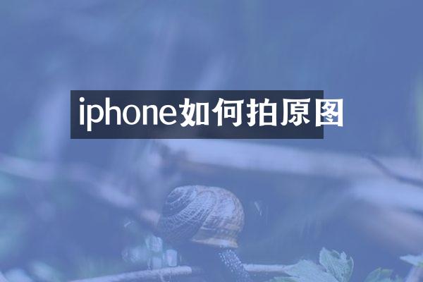 iphone如何拍原图