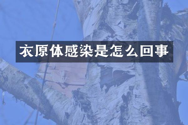 衣原体感染是怎么回事