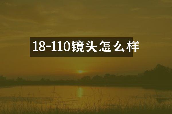18-110镜头怎么样