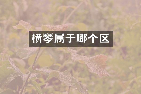 横琴属于哪个区