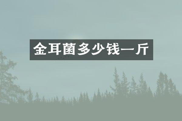 金耳菌多少钱一斤