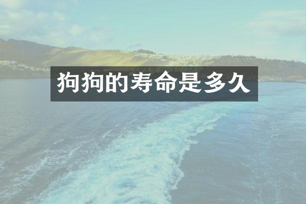 狗狗的寿命是多久