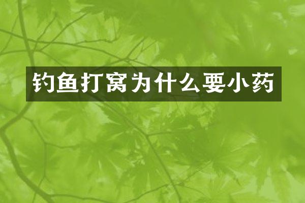 钓鱼打窝为什么要小药