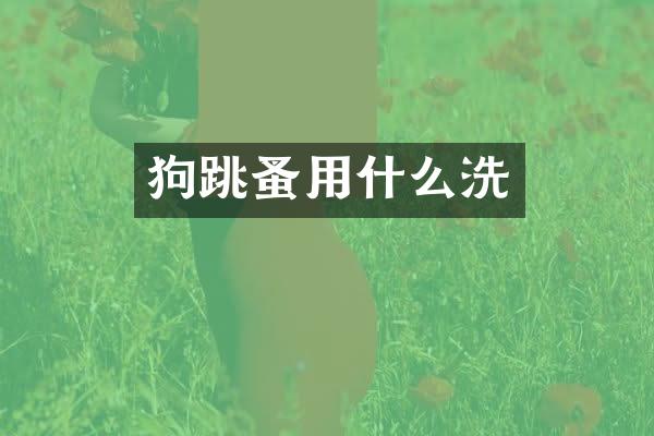 狗跳蚤用什么洗