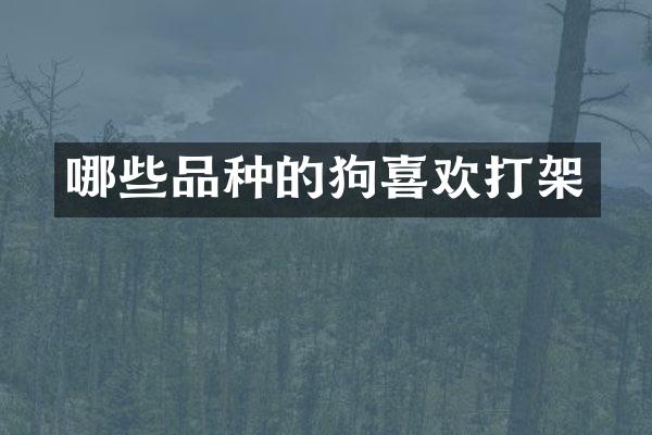 哪些品种的狗喜欢打架