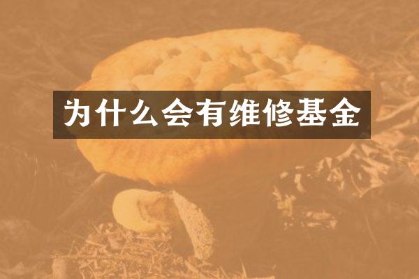 为什么会有维修基金