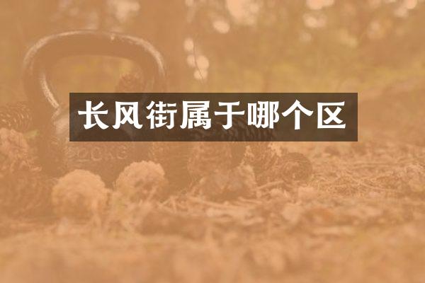 长风街属于哪个区