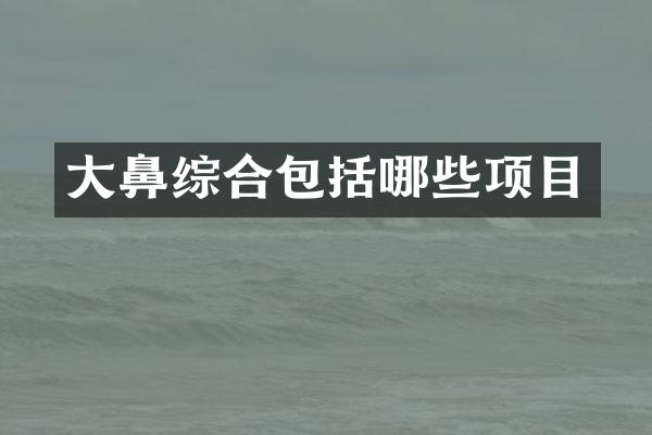 大鼻综合包括哪些项目