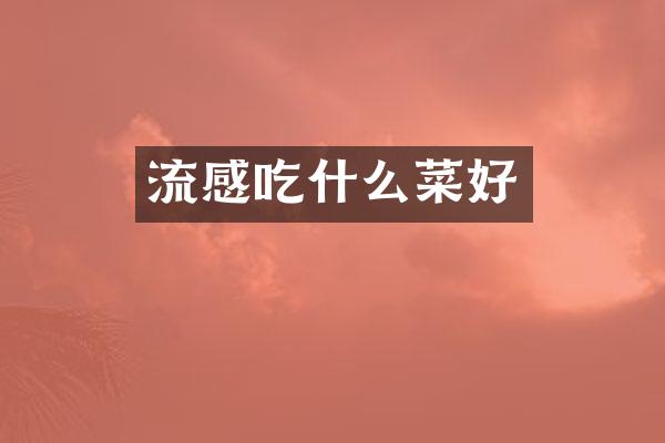 流感吃什么菜好