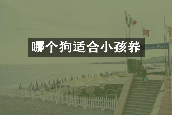 哪个狗适合小孩养