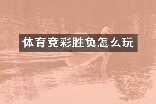 体育竞彩胜负怎么玩
