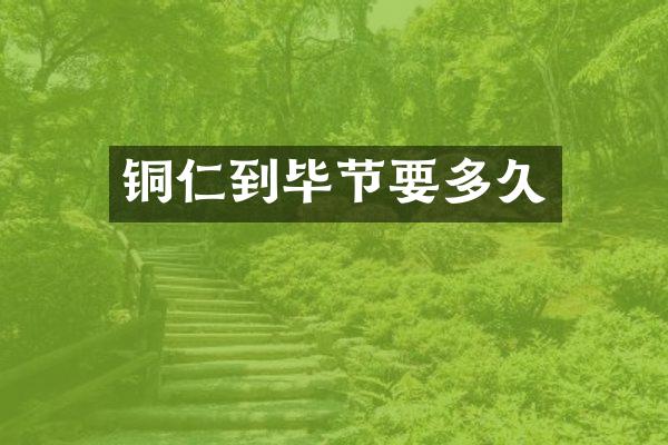 铜仁到毕节要多久