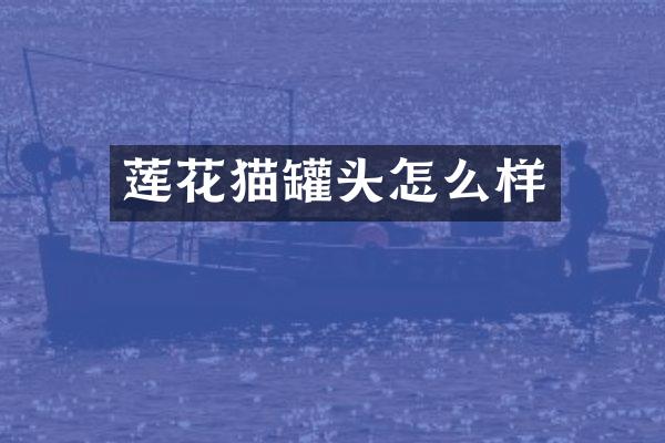 莲花猫罐头怎么样