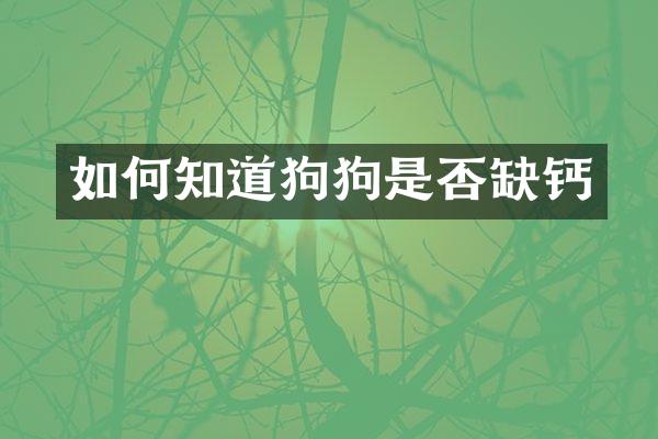 如何知道狗狗是否缺钙