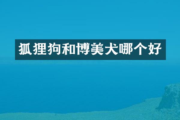 狐狸狗和博美犬哪个好