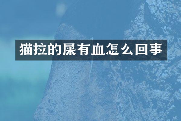猫拉的屎有血怎么回事